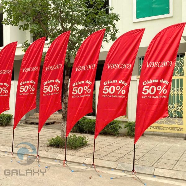 Cờ bãi biển, beach flag